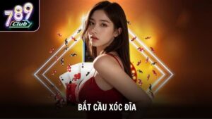 Thuật Toán Bắt Cầu Xóc Đĩa