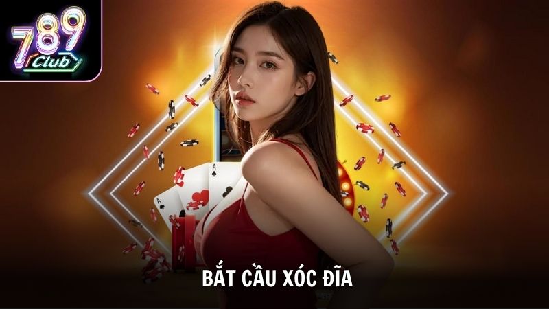 Thuật Toán Bắt Cầu Xóc Đĩa
