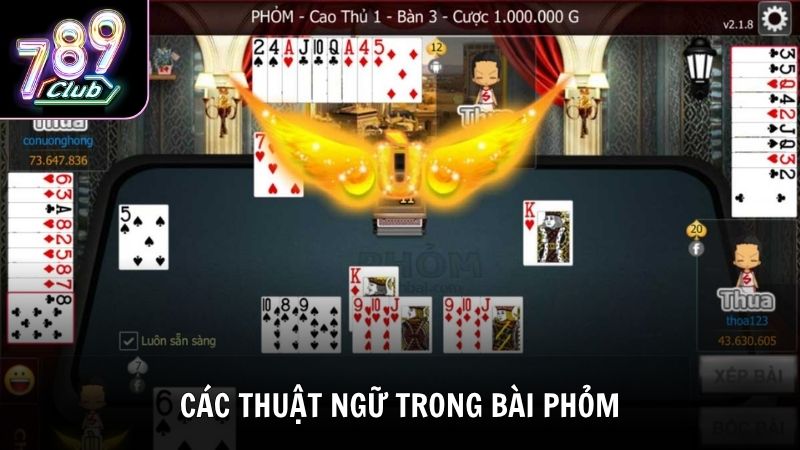 Điểm qua những thuật ngữ quan trọng khi tìm hiểu cách chơi bài Phỏm