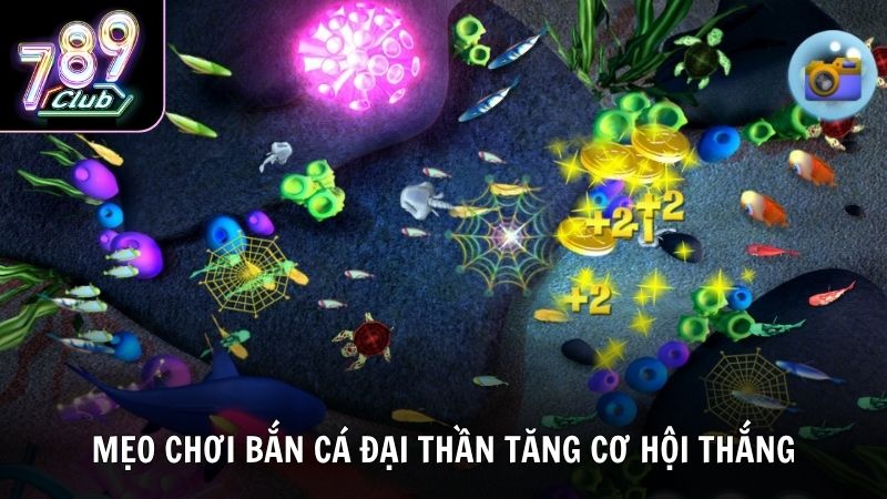 Kinh nghiệm chơi bắn cá Đại Thần cho người mới bắt đầu tại 789Club