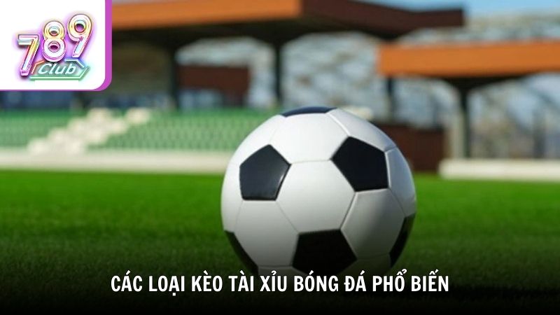 Các loại kèo phổ biến trong cách chơi tài xỉu bóng đá