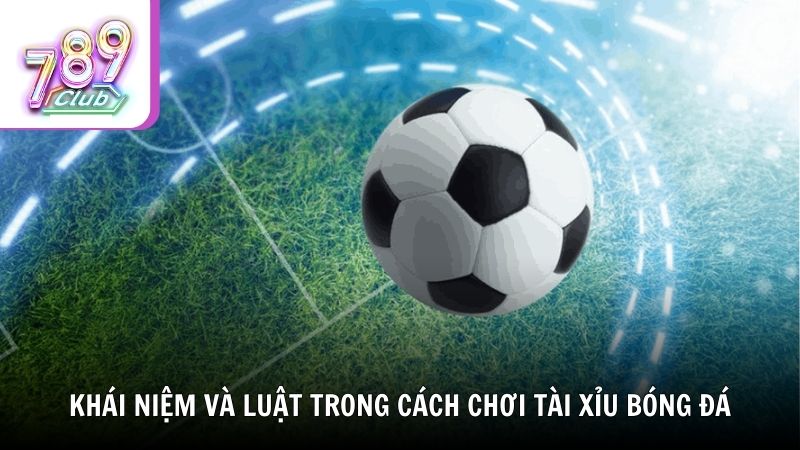 Hiểu rõ khái niệm và luật trong cách chơi tài xỉu bóng đá