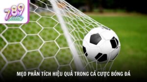 Mẹo phân tích hiệu quả trong cá cược bóng đá